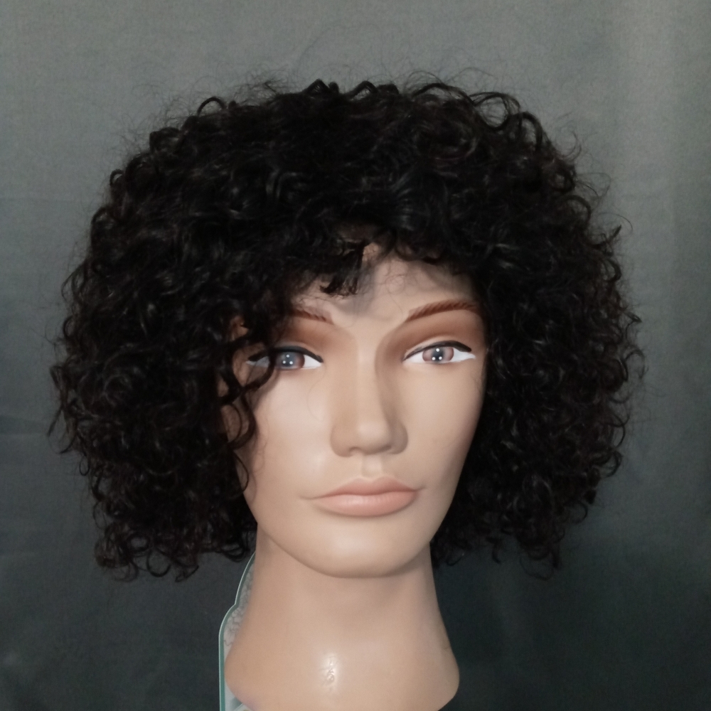 Human Hair Wig